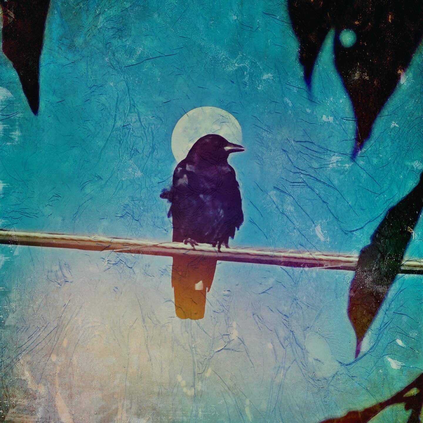 Bird On A Wire